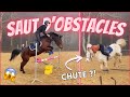 Cours saut dobstacles  chute  170224  cso landreau