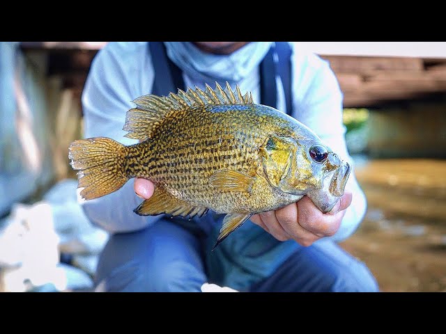 Spillway fishing Rural Kentucky 