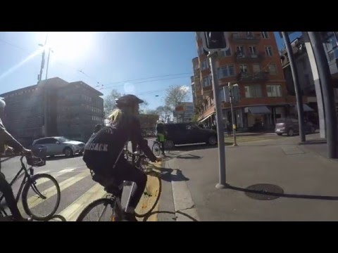 Bicycle 'rush hour'
