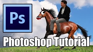 Photoshop Tutorial Turn a man into a horse - Animal Hybrid Photoshop screenshot 3