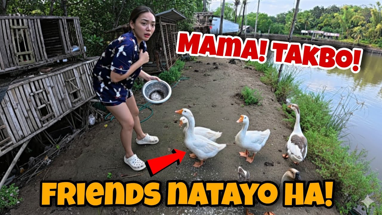 TAKBO! AKALA KO FRIENDS NA TAYO? I REACTION NG PAPA NI KANUTO KAY BARBARA! 😱