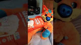 Why Do Furries Cuddle Everything??