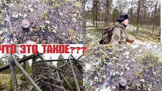 НАХОДКА В ТАЙГЕ / НИКОГДА ТАКОГО НЕ ВИДЕЛ / СТРАННАЯ НАХОДКА В ЛЕСУ