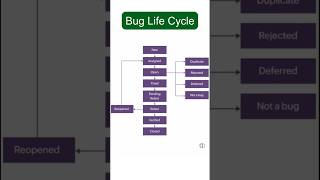 From New to Closed: Bug Life Cycle Explained Clearly.#shortsfeed #shorts #shortvideo #foryou #viral
