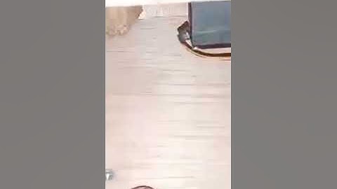 Self-segregating Trash Bin: An Automated Waste Segregation System with SMS