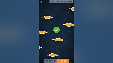 Lumosity Ebb and Flow 25550 points