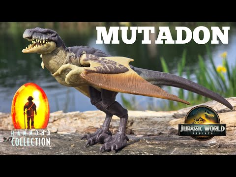 Mattel Jurassic World Hammond Collection Mutadon Review! - YouTube
