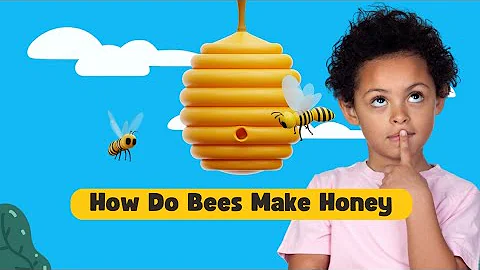 How Do Bees Make Honey? | Science Questions  Answered! #science #learning