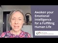 Awaken Your Emotional Intelligence to live a fulfilling Human Experience.
