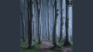 Scary Forest - Lost & Sound