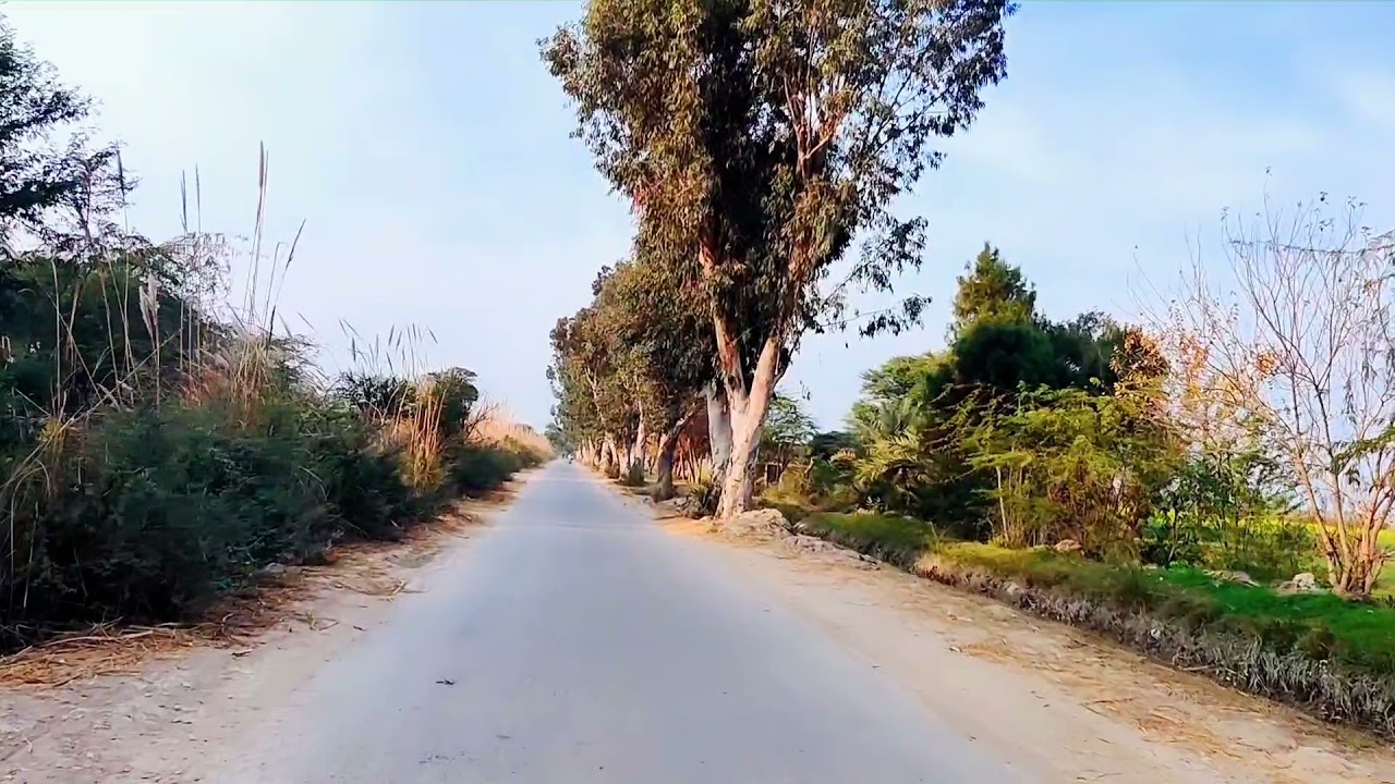 Paharpur Road, Dera Ismail Khan