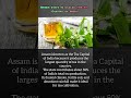 which state is called as the tea capital of India...? #genralknowledge