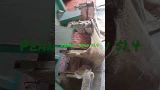 peanut raw bold 40-50 , fresh product , ready for supplies. +91-9928995462