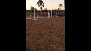 And we attempt a (tiny) jump.. Double bareback & ponying