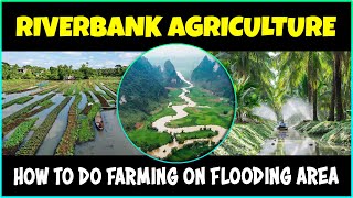 Riverbank Agriculture | How to do farming on Flooding Area