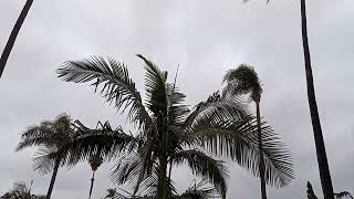 USA CONSTITUTION AMENDMENT 1: WORK RADIATING LOVE INTERNAL MIND FLUENT ELEMENTS {HAPPENS} 2