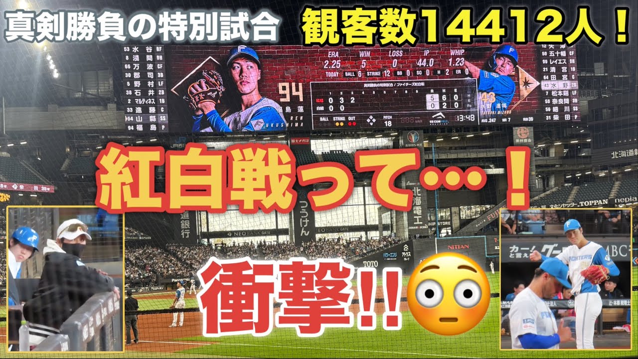 エスコンで日ハム紅白戦！とんでもなく真剣だった！😳HIGH LIGHT付き【まだ見ぬ景色をエスコンで】
