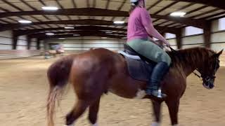 Kayla Lyons Dressage- USDF Intro Level Test C