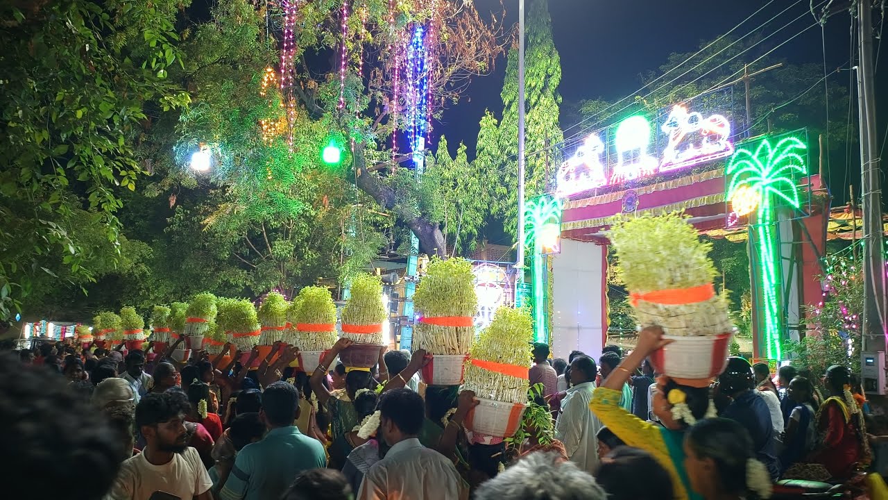 முளைப்பாரி ஊர்வலம் | Muthusamypuram Panguni Pongal 2024 | Muhavoor Panguni Pongal 2024 |