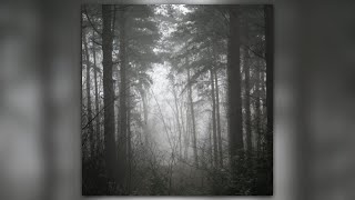 [FREE] RARE XXXTENTACION Atmo$ *Ambient* Alternative Type Interlude (Prod. By Kizutsuku x In$azy)