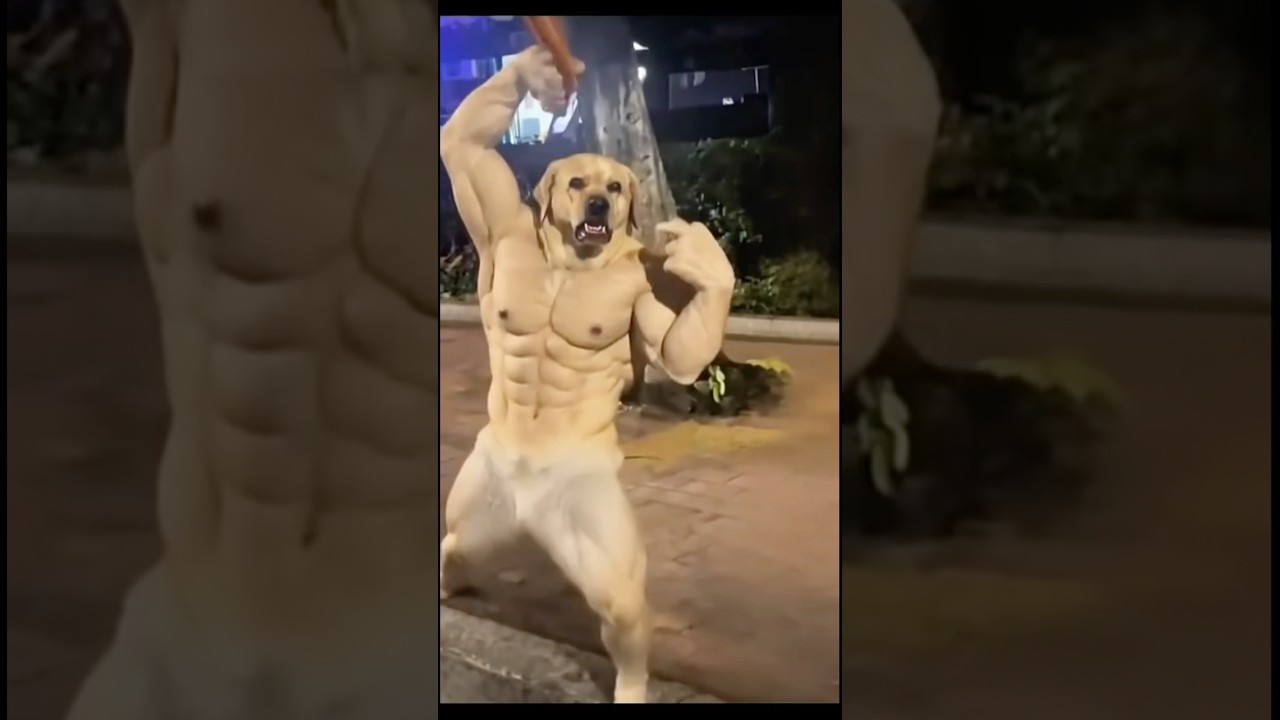 #funny #memeclip #funnymemes #dankememes #funnypictures #memehub #love #funnyimages #comedy