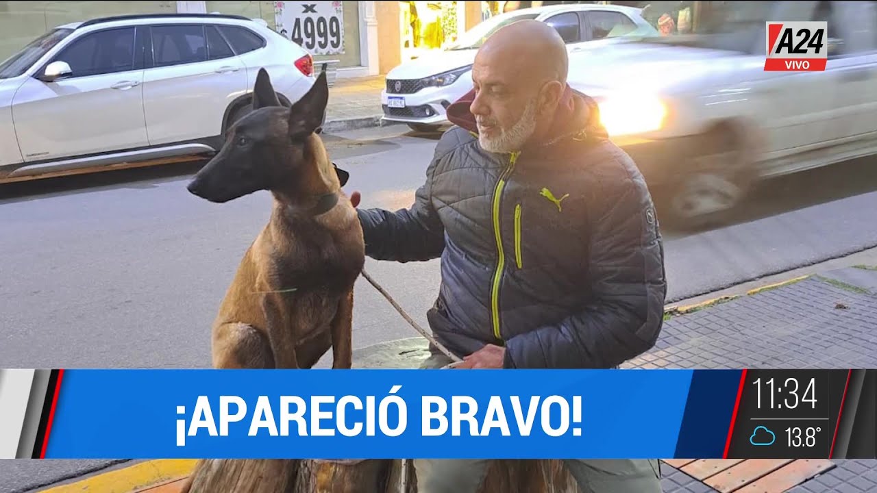 El emotivo reencuentro de un hombre con cáncer y su perro terapéutico, que había sido robado