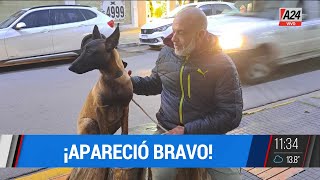 El emotivo reencuentro de un hombre con cáncer y su perro terapéutico, que había sido robado