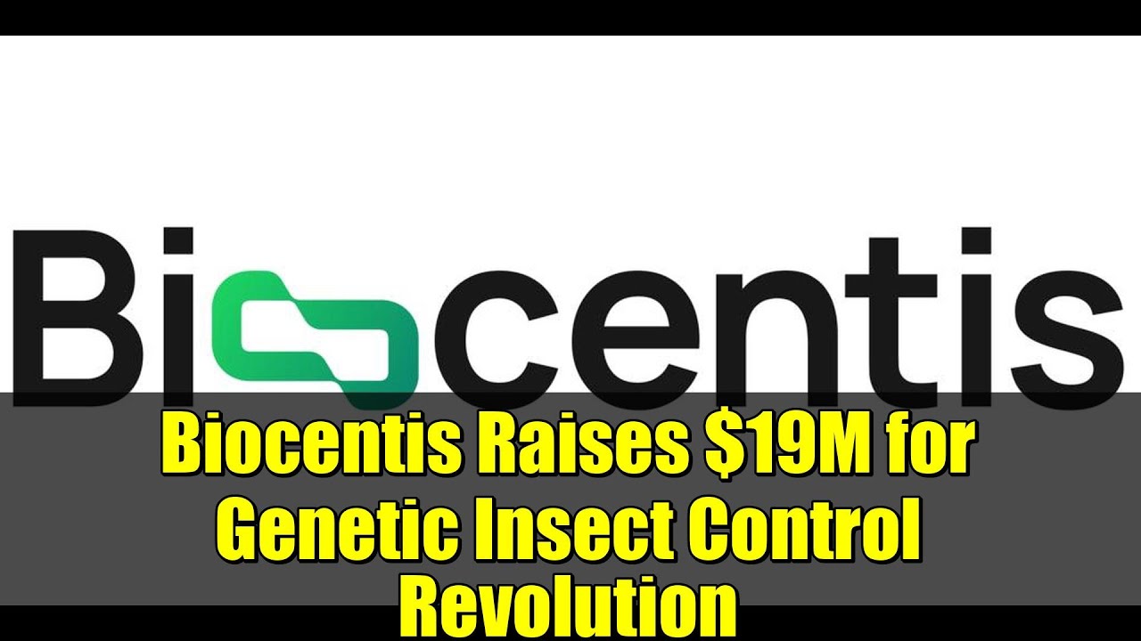Biocentis Raises $19M for Genetic Insect Control Revolution