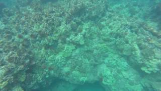 Free Dive Through Cave At Secrets Beach, Maui