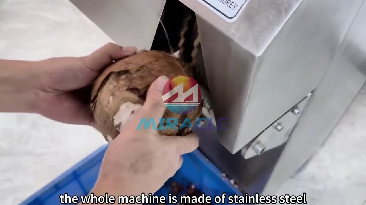 This small coconut shelling machine makes removing the hard shell of coconuts a breeze!