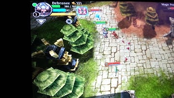 HEROES OF ORDER AND CHAOS.   FAST LEVEL UP