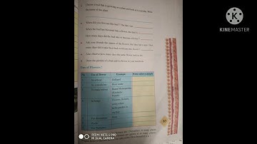 chapter 11 ..in the orchard...part 2..STD 4