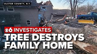 Family says neighbor's dead tree destroyed home after years of warnings