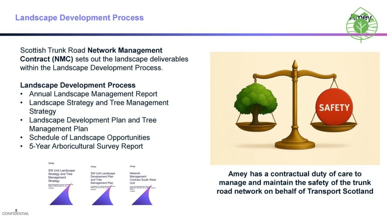 Roadside Trees - Who, What, Why & How?!