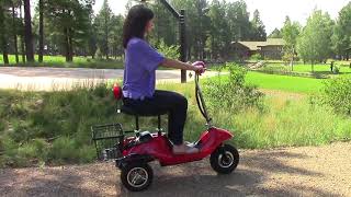 💥eWheels EW-19 sporty