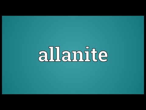 Header of allanite