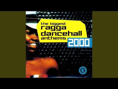 Punanny Medley (feat. Lexxus, Mr. Vegas, Admiral Bailey, Shabba Ranks, Mad Cobra, Bounty...