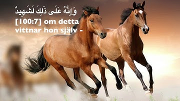 100. Al-'Adiyat, Svenska,  Raad Al-Kurdi, سورة العاديات