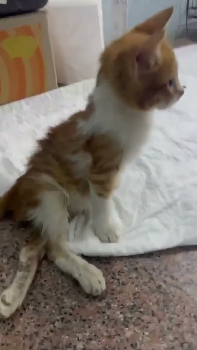 450377720 7929116710480068 1089188711092673855 n