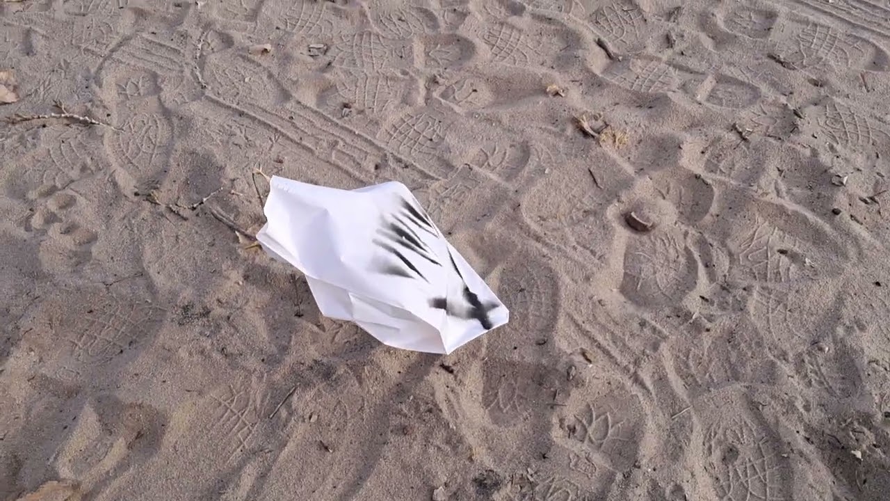 Finished diy snowgoose decoy.