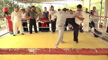 Push Hands No Limit Day 13 recap