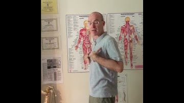 Rolfing Session 1 — breathing