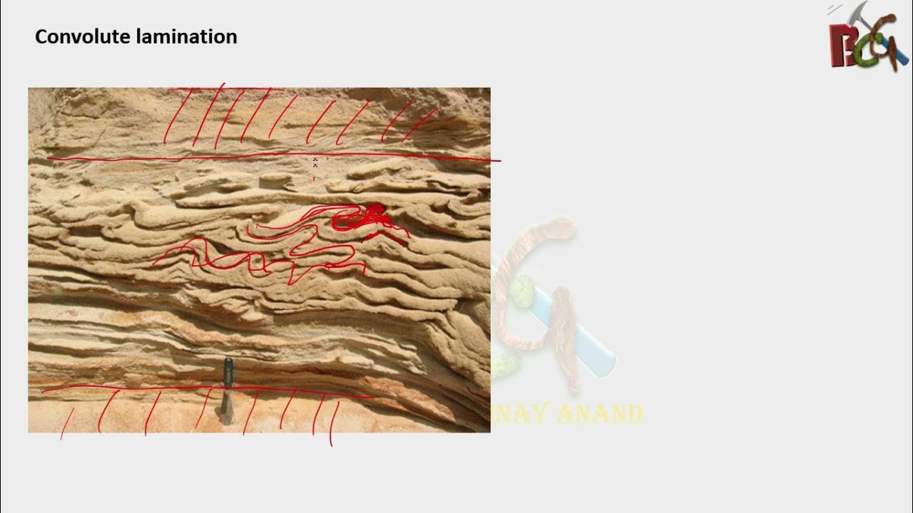  Convolute lamination YouTube