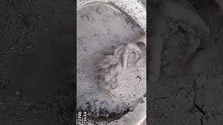 Zariya asmr #satisfying #explore #yshorts #asmr #shorts #fyp #asmrcrumble #relax