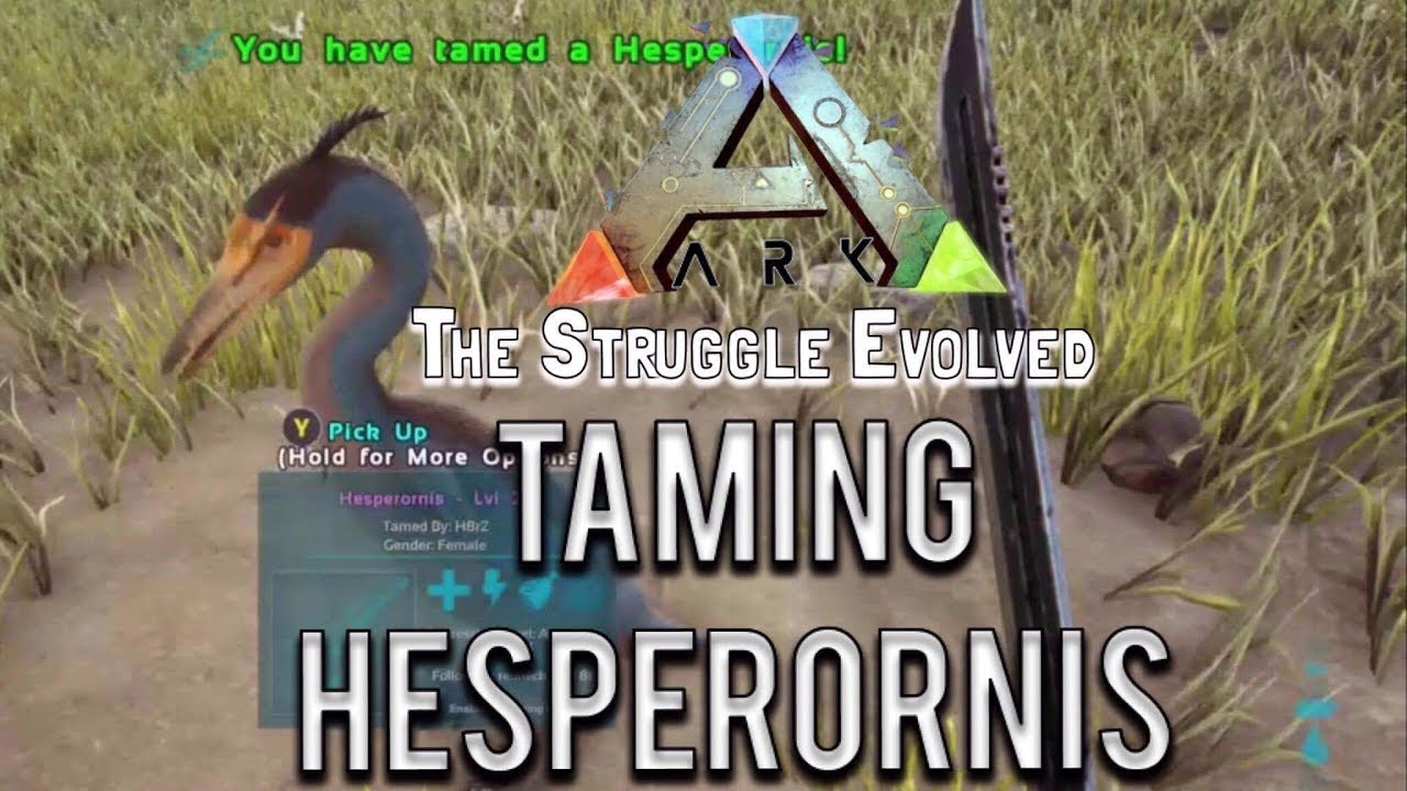 Ark: Easiest way to tame a hesperornis (xbox one)
