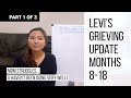 Levi Korean Adoption Grieving Update Months 8-18, Part 1