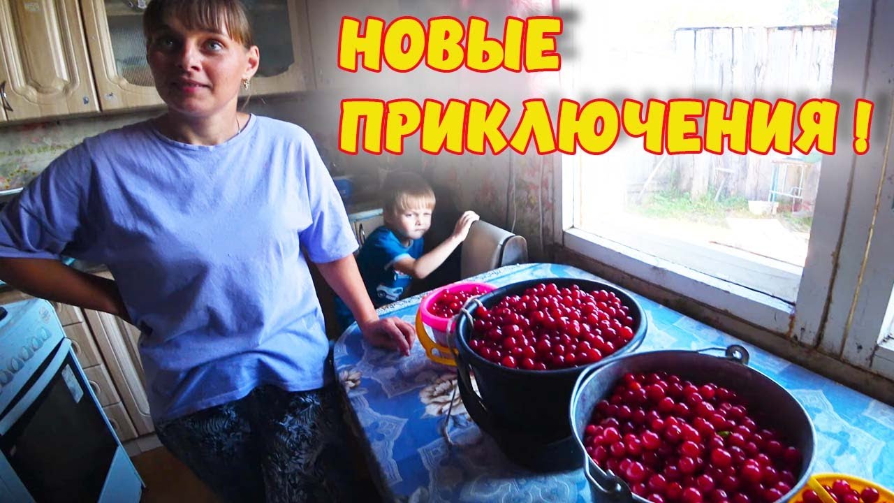 Из города в деревню перезагрузка дзен. Из города в деревню перезагрузка. Деревенский и городской ВЛОГ. Семья в селе ютуб. Ютуб дом в грибе
