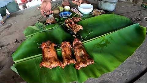 bẫy chuột cống nhum về nướng lu.mồi nhậu đồng quê