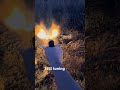 Dagger FRT Zaffiri ported slide test