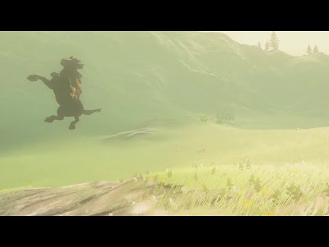 WIiU版のBotW（Ver1 0 0）で流鏑馬ホバーをしてみた